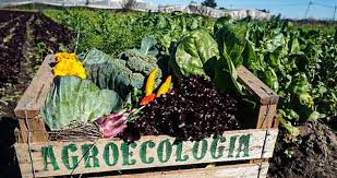 Agroecología